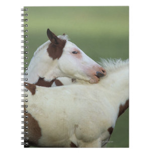 Malen Sie das Fohlen-Spielen Notizblock