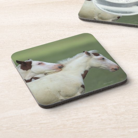 Malen Sie das Fohlen-Spielen Untersetzer (Linke Seite)