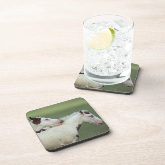 Malen Sie das Fohlen-Spielen Untersetzer (Rechte Seite)