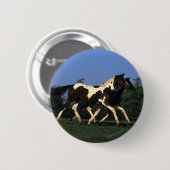 Malen Sie das Jährlings-Laufen Button (Vorne & Hinten)