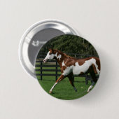 Malen Sie das Pferd, das 1 laufen lässt Button (Vorne & Hinten)