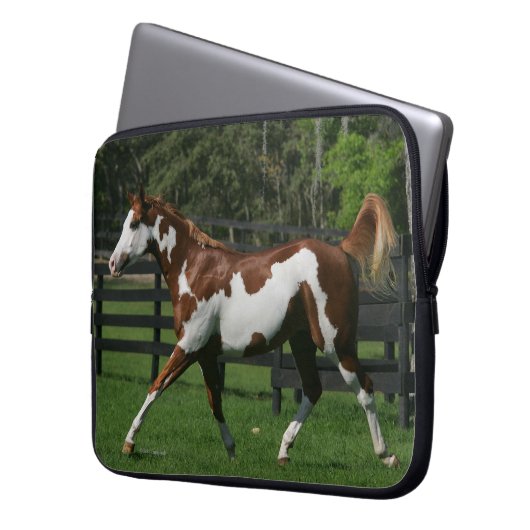 Malen Sie das Pferd, das 1 laufen lässt Laptopschutzhülle (Vorderseite Links)