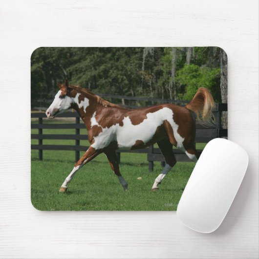 Malen Sie das Pferd, das 1 laufen lässt Mousepad (Mit Mouse)