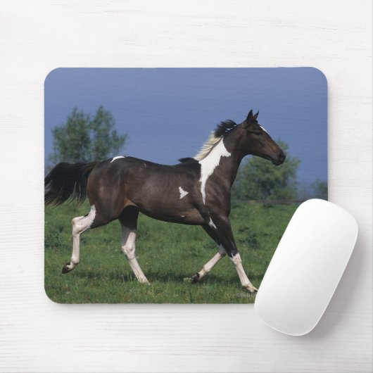 Malen Sie das Pferd, das 2 laufen lässt Mousepad (Mit Mouse)
