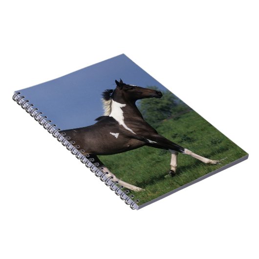 Malen Sie das Pferd, das 2 laufen lässt Notizblock (Rechte Seite)