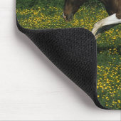 Malen Sie das Pferd, das in Feld der Blumen läuft Mousepad (Ecke)