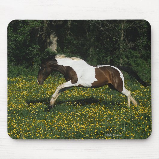 Malen Sie das Pferd, das in Feld der Blumen läuft Mousepad (Vorne)