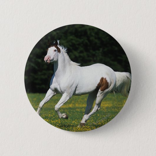 Malen Sie das Pferd, das in grasartiges Feld läuft Button (Vorderseite)
