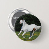 Malen Sie das Pferd, das in grasartiges Feld läuft Button (Vorne & Hinten)