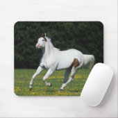 Malen Sie das Pferd, das in grasartiges Feld läuft Mousepad (Mit Mouse)