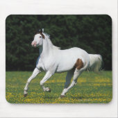 Malen Sie das Pferd, das in grasartiges Feld läuft Mousepad (Vorne)