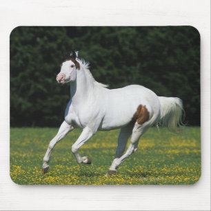 Malen Sie das Pferd, das in grasartiges Feld läuft Mousepad