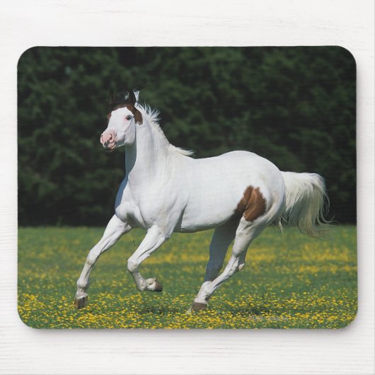 Malen Sie das Pferd, das in grasartiges Feld läuft Mousepad (Vorne)