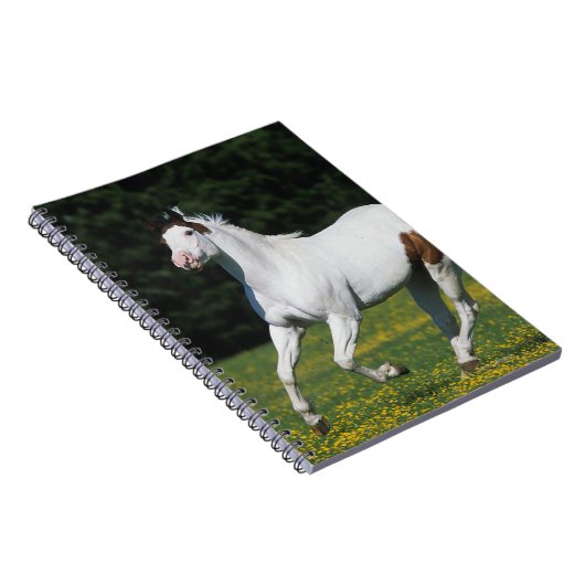 Malen Sie das Pferd, das in grasartiges Feld läuft Notizblock (Rechte Seite)