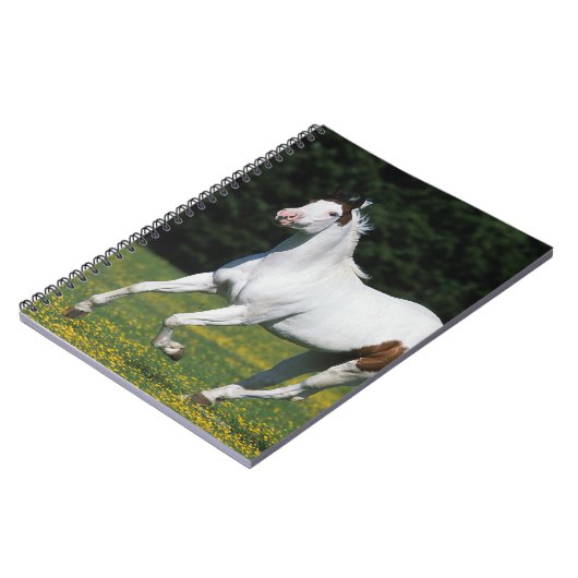 Malen Sie das Pferd, das in grasartiges Feld läuft Notizblock (Linke Seite)