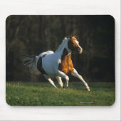 Malen Sie das Pferd, das schnell läuft Mousepad (Vorne)