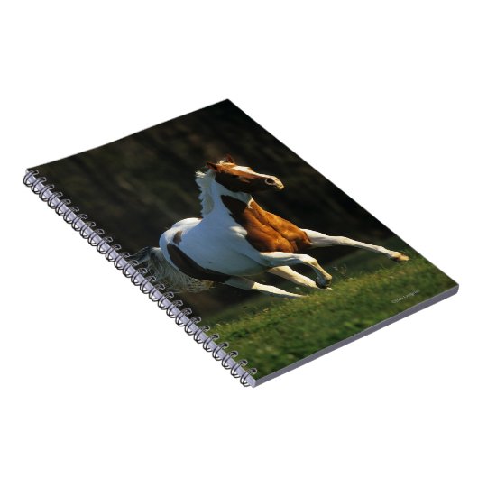 Malen Sie das Pferd, das schnell läuft Notizblock (Rechte Seite)