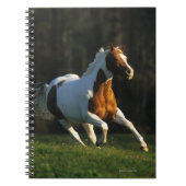Malen Sie das Pferd, das schnell läuft Notizblock (Vorderseite)
