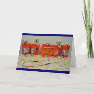 Malen Sie Eimer-Welpen-Karte Karte