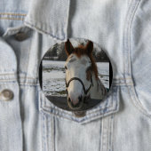 Malen Sie Knopf Button (Beispiel)