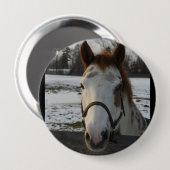 Malen Sie Knopf Button (Vorne & Hinten)