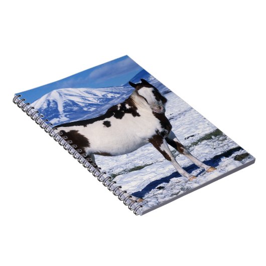 Malen Sie Pferd stehend im Schnee Notizblock (Rechte Seite)