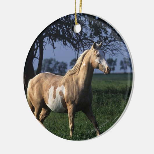Malen Sie Pferd stehende 2 Keramikornament (Links)