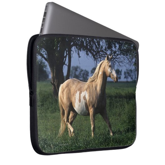 Malen Sie Pferd stehende 2 Laptopschutzhülle (Vorne Rechts)