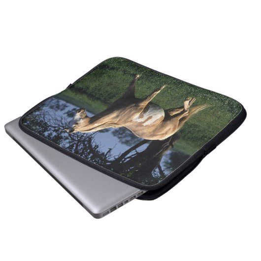 Malen Sie Pferd stehende 2 Laptopschutzhülle (Vorne Knopf)