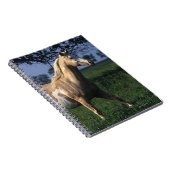 Malen Sie Pferd stehende 2 Notizblock (Rechte Seite)