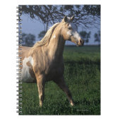 Malen Sie Pferd stehende 2 Notizblock (Vorderseite)