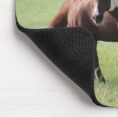 Malen Sie Pferd und Freunde Mousepad (Ecke)