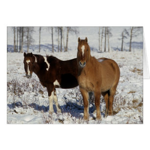 Malen Sie Pferde im Schnee