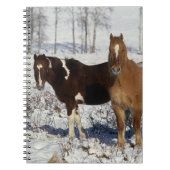 Malen Sie Pferde im Schnee Notizblock (Vorderseite)
