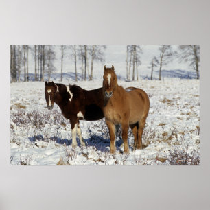 Malen Sie Pferde im Schnee Poster