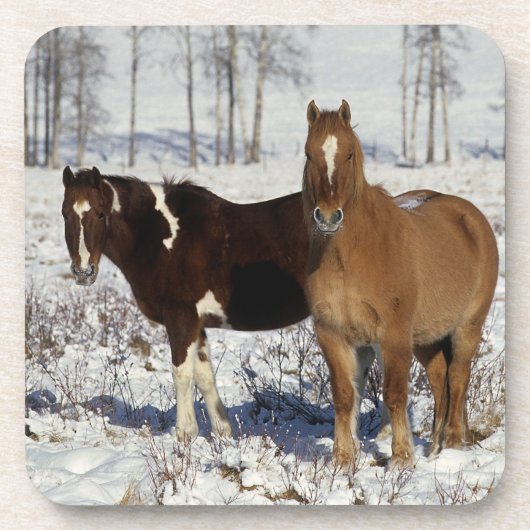Malen Sie Pferde im Schnee Untersetzer (Vorderseite)
