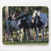 Malen Sie Pferde Mousepad (Vorne)