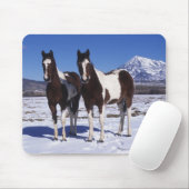 Malen Sie Pferde stehend im Schnee Mousepad (Mit Mouse)