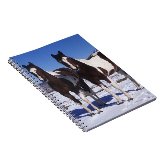 Malen Sie Pferde stehend im Schnee Notizblock (Rechte Seite)