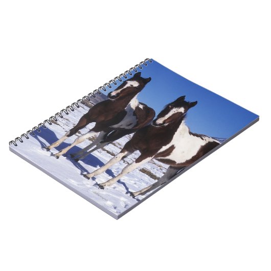 Malen Sie Pferde stehend im Schnee Notizblock (Linke Seite)