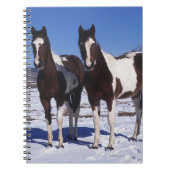 Malen Sie Pferde stehend im Schnee Notizblock (Vorderseite)
