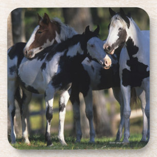 Malen Sie Pferde Untersetzer