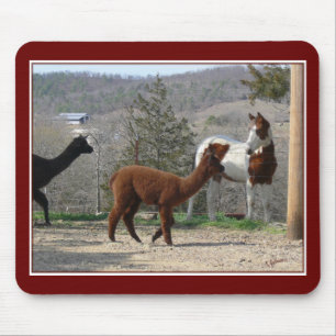 Malen Sie Pferdealpaka Mousepad