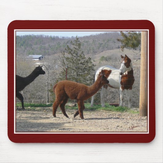 Malen Sie Pferdealpaka Mousepad (Vorne)