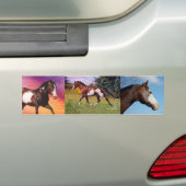 Malen Sie Pferdecollage Autoaufkleber (Auf Auto)