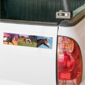 Malen Sie Pferdecollage Autoaufkleber (Auf Lkw)