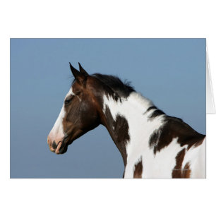 Malen Sie PferdeHeadshot 1