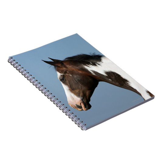 Malen Sie PferdeHeadshot 1 Notizblock (Rechte Seite)