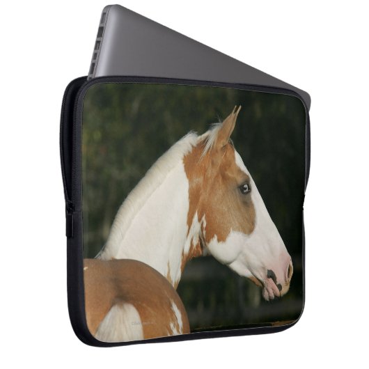 Malen Sie PferdeHeadshot 2 Laptopschutzhülle (Vorne Rechts)