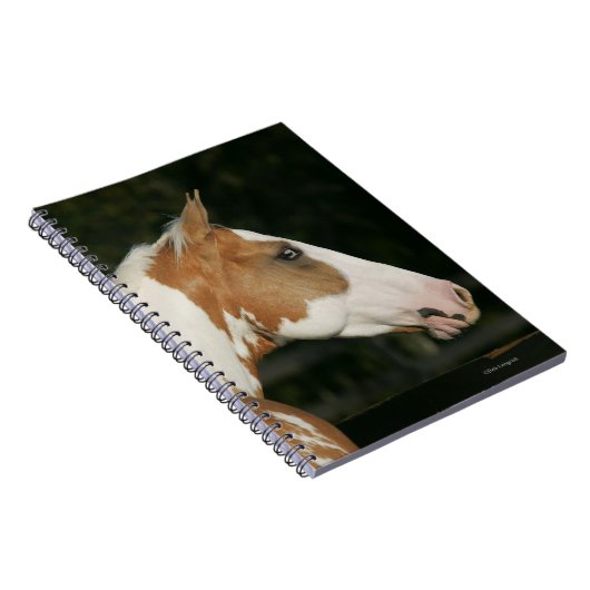 Malen Sie PferdeHeadshot 2 Notizblock (Rechte Seite)